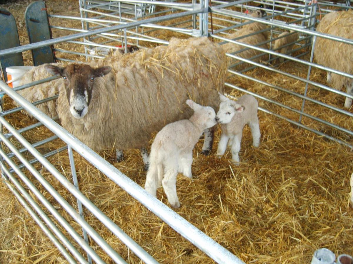 Church Farm Stratford-upon-Avon Bagian luar foto