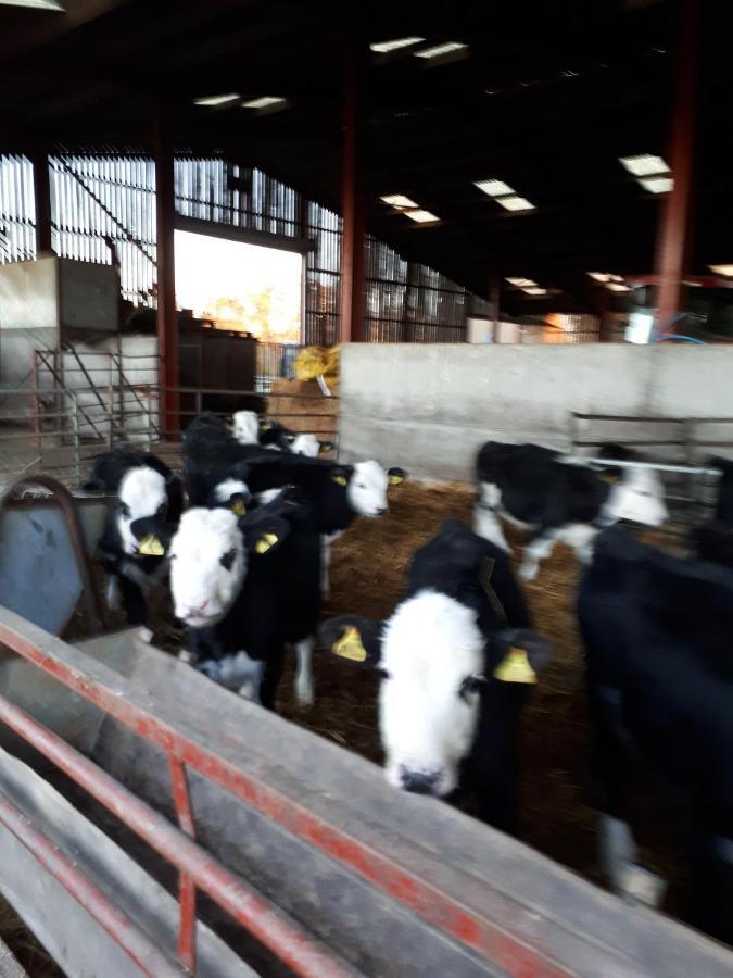 Church Farm Stratford-upon-Avon Bagian luar foto